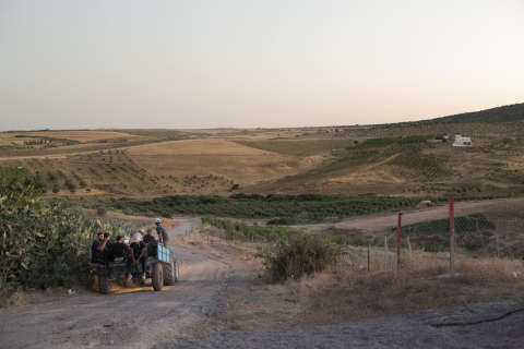 Tunisie -Agropastoral Development and Local Initiatives Promotion Programmes in the South-East - September 2017