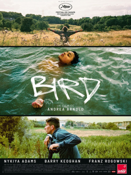 Andrea Arnold. “Bird”