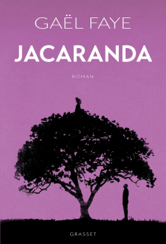 Gaël FAYE. “Jacaranda”