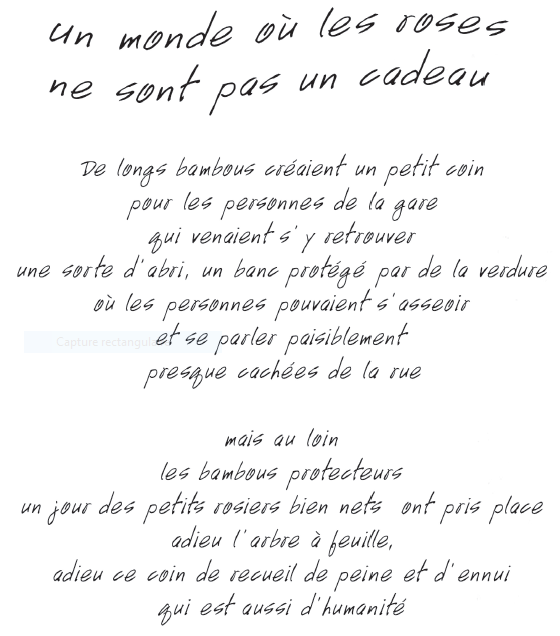 Image 10000201000002300000027CC79435EC.png